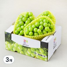 과일진심 샤인머스캣 2~4수, 2kg, 3개