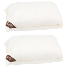 戀家小舖樂芙物理性防蹣枕 支撐頸部 釋放肩頸壓力 可機洗 阻隔塵螨 對抗過敏原, 45 x 75cm, 2個, 白色