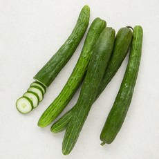 못생겨도 맛있는 취청오이, 1개