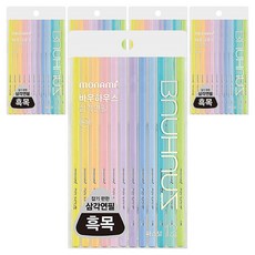 BAUHAUS 파스텔 삼각 연필 2B, 60개