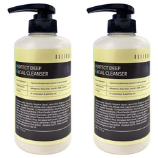 OLLIOLLI Perfect Deep 深層潔面乳 適合混合性皮膚, 500ml, 2瓶