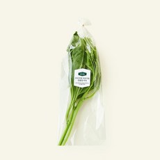 프리미엄 이유식용 친환경 아욱, 50g, 1개