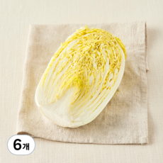국내산 친환경 쌈용 맛배추, 400g, 6개