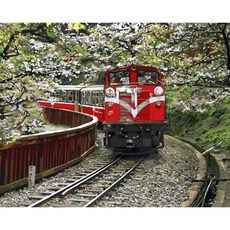 ArtLife 藝術生活 數字油畫DIY 台灣風情誌, TW005阿里山小火車, 1組