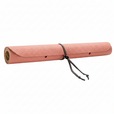 SANKO 寵物洗澡墊 防滑, 55 x 45cm, 1個