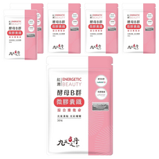 Jiu Wu Dan 九五之丹 酵母B群 + 微膠囊鐵, 30顆, 6包