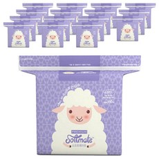 소프트메이트 프리미엄 건티슈, 60g, 160매, 16개