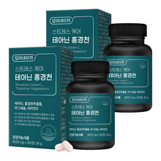 모어네이처 스트레스 케어 테아닌 홍경천 36g, 60정, 2개