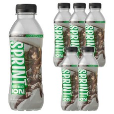 클룹 스프린트 진격의거인 제로 이온음료 머스캣 리치, 6개, 500ml