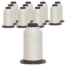 해피베어스 ATHENA 코아사 실, 303 백 아이, 12개