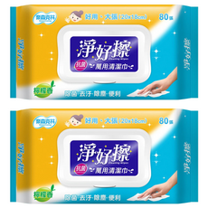 奈森克林 淨好擦萬用清潔巾 掀蓋, 1入, 2包
