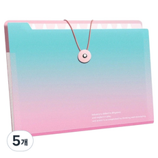 아트조이 그라데이션 아코디언 파일 폴더 5칸, 블루, 5개