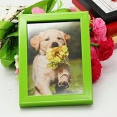 리앤베르 인테리어 탁상용 추억 납골당 사진 미니 액자, 그린, 1개