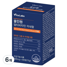 VitaLabs 올인원 멀티비타민 미네랄 23종 72g, 6개, 90정