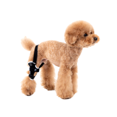 寵物護腳套, 混色