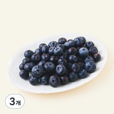 칠레산 세코야 블루베리, 278g, 3개