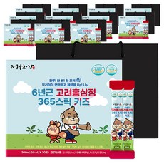 정원삼 6년근 고려홍삼정 365 스틱 키즈 30포 + 쇼핑백, 300ml, 12개