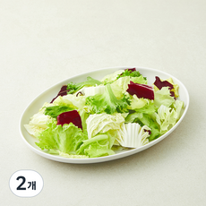 알배기 믹스 샐러드채소 더블팩, 300g, 2개, 1개입