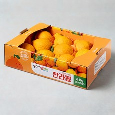 곰곰 한라봉, 3kg(9~10입 대과), 1박스