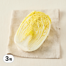 국내산 친환경 쌈용 맛배추, 400g, 3개
