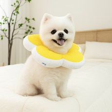 레토 반려동물 플라워 방수 초경량 넥카라, 옐로우, 1개
