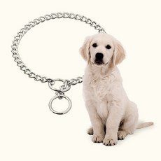 TITAN 扼流鏈大型犬訓練用鍍鉻強力牽引繩 56 cm, 單色, 1個