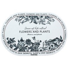 디씨네트워크 빨아쓰는 규조토 발매트, 플타원형화이트