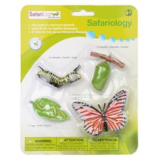 Safari Ltd 公仔 622616 帝王蝶的成長過程 Life Cycle of a Monarch Butterfly, 1個