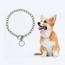TITAN Choke Chain 中型狗訓練用鍍鉻強力牽引繩 56 cm, 單色, 1個