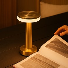 루아즈 충전식 LED 탁상 침실 무드등, 골드