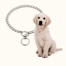 TITAN 扼流圈大型犬訓練用鍍鉻強力牽引繩 51 cm, 單色, 1個