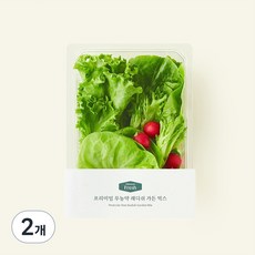 프리미엄 무농약 래디쉬 가든 믹스, 150g, 1개입, 2개