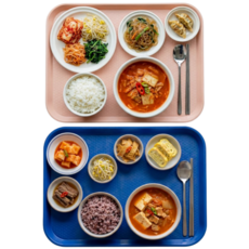 미니모 고강도 컬러 쟁반 트레이 2종 세트, 아마존블루, 다크피치, 1세트