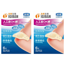 全新生醫 IGIBAN 全新一級絆 人工皮ok絆6片, 2盒
