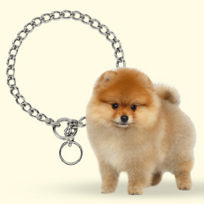 TITAN Choke Chain 小型犬訓練用鍍鉻耐用牽引繩 40.6 cm, 單色, 1個