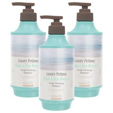 KERASYS 淨化奢華香水洗髮精鼠尾草與海風, 3個, 550ml