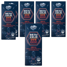 비타민마을 아르기닌 오르니틴 타우린 10000, 15회분, 6개