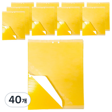 大吉產業 果蠅 蚋 蕈蚋 捕捉器 黏蠅大師, 40個