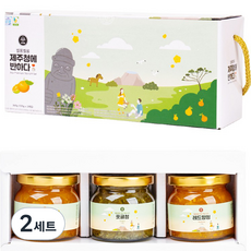 벨롱벨롱 제주청에 반하다 3종 선물세트, 한라봉청 120g + 천혜향청 120g+ 레드향청 120g, 2세트