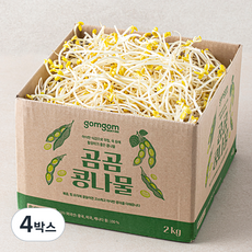 곰곰 콩나물, 2kg, 4박스