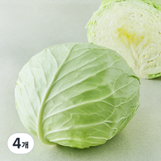 국내산 양배추 (대), 1개입, 4개