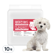 영마진 강아지 배변패드 스탠다드, 100개입, 10개