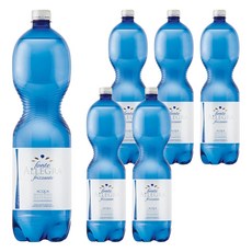 FONTE ALLEGRA 亞莉佳 氣泡礦泉水, 1.5L, 6瓶
