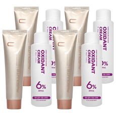 에비뉴쉬에뜨 앱솔루트 컬러링 크림 염색제 120g + 산화제 100ml, 블루애쉬, 4개