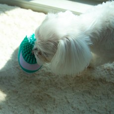 도담펫 반려동물 Bath Groom 브러쉬 12 x 8 cm, 그린, 1개