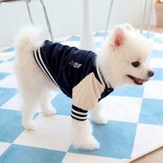 강아지 골덴 바시티 자켓 HDJK00351, 네이비, 1개