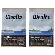 Wealtz 維爾滋 天然無穀寵物糧 化毛貓食譜 獨立小包裝 高肉類蛋白質 無穀低GI, 300g, 2袋, 雞肉