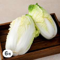알배기배추 국내산, 1kg, 6개, 1kg