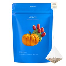 푸드올로지 마인드풀 백년초 호박 삼각티백, 2.5g, 20개입, 1개