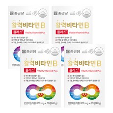종근당 정품 활력 비타민B 플러스, 60정, 4개